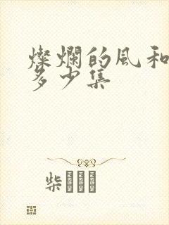 灿烂的风和海共多少集