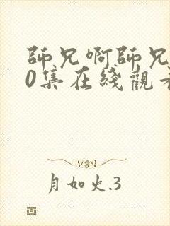 师兄啊师兄第30集在线观看