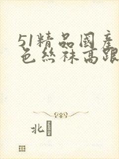 51精品国产黑色丝袜高跟鞋