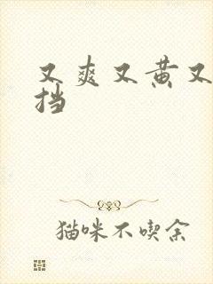 又爽又黄又无遮挡