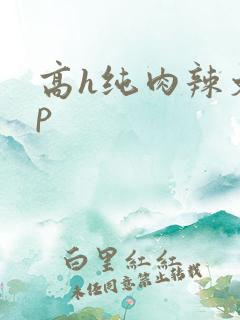 高h纯肉辣文np