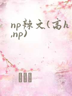 np辣文(高h,np)