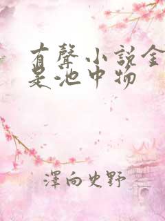 有声小说金麟岂是池中物