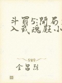 斗罗5:开局加入武魂殿小说阅读全文