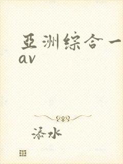 亚洲综合一区二av