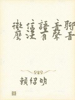 微信语音聊天怎么没有声音