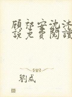 顾祁安沈沐婉小说免费阅读最新章节