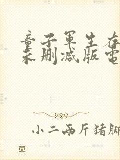 童子军生存手册未删减版电影