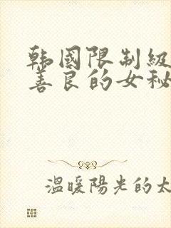 韩国限制级电影善良的女秘书