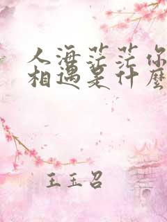 人海茫茫你和我相遇是什么歌