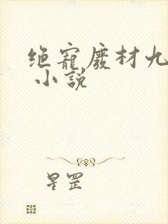 绝宠废材九小姐 小说