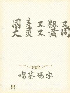 国产又粗又猛又大爽又黄同志