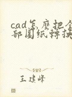 cad怎么把全部图纸转换成pdf