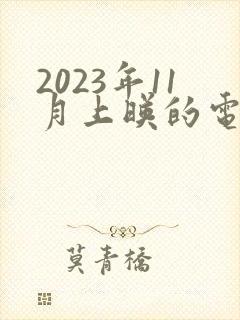 2023年11月上映的电影有哪些