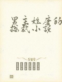 男主姓唐的霸道总裁小说