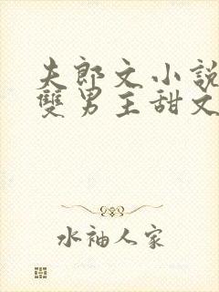 夫郎文小说推荐双男主甜文