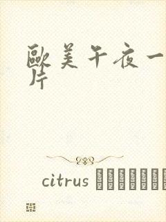 欧美午夜一级艳片