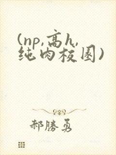 (np,高h,纯肉校园)