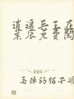 逍遥兵王在都市叶辰免费阅读