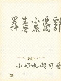 男生小便刺痛是什么原因引起的