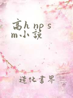 高h np sm小说
