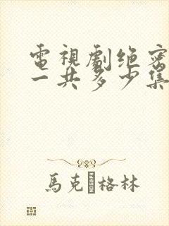 电视剧绝密较量一共多少集