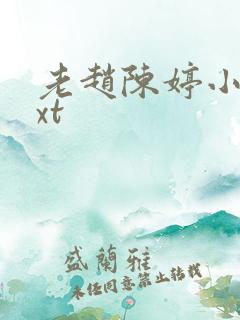 老赵陈婷小说txt