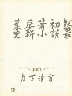 叶辰萧初然最快更新小说最新章节