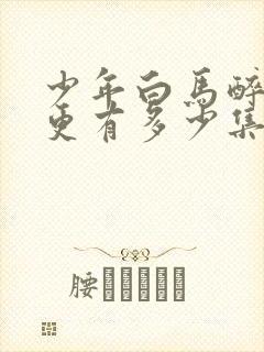 少年白马醉春风更有多少集了