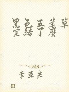 黑色五叶草漫画完结了么