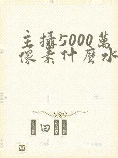 主摄5000万像素什么水平