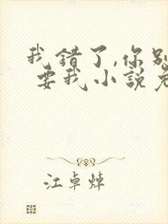 我错了,你别不 要我小说免费阅读