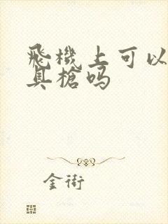 飞机上可以带玩具枪吗