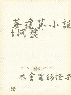 华琼苒小说txt网盘