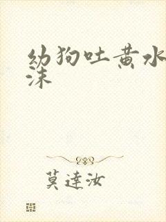 幼狗吐黄水带泡沫