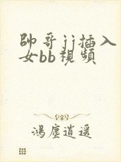 帅哥jj插入美女bb视频