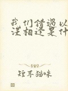 我们错过以后再没相逢是什么歌