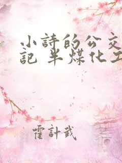 小诗的公交车日记 半煤化工