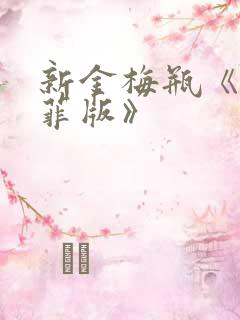 新金梅瓶《龚玥菲版》