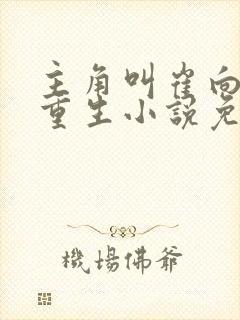 主角叫崔向东的重生小说免费阅读