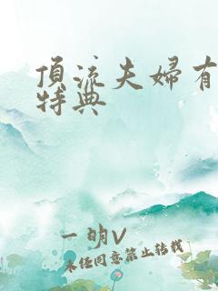 顶流夫妇有点甜特典