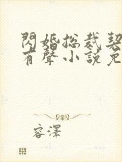 闪婚总裁契约妻有声小说免费听