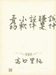 看小说赚钱最多的软件是什么