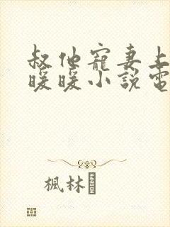 叔他宠妻上瘾古暖暖小说电子版txt