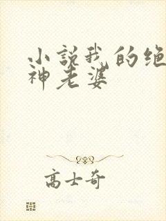 小说我的绝美女神老婆