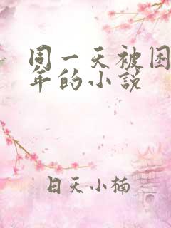 同一天被困一千年的小说