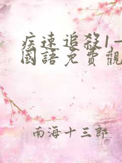 疾速追杀1—4国语免费观看