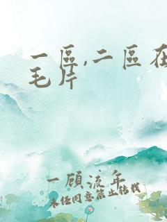 一区,二区在线毛片
