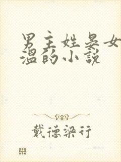 男主姓晏女主姓温的小说