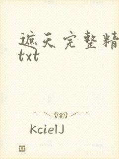 遮天完整精校版txt